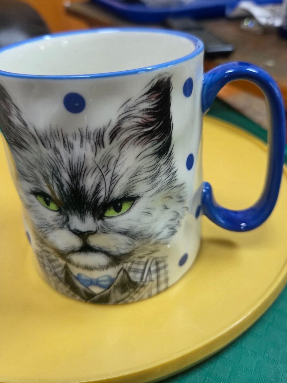 pet lovers collection grumpy faced kitty in a suit with polka dots strawberry st